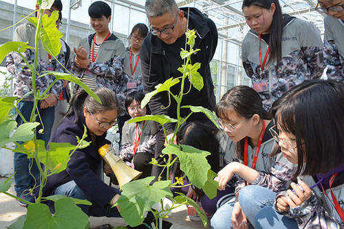 成都市中華衛(wèi)生學(xué)校如何、怎么樣圖2