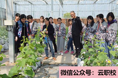 2021年特色幼兒園、幼教藝術企業(yè)、創(chuàng)意產(chǎn)業(yè)園、國際幼教集團(幼兒教育(國家級非遺藝術班))