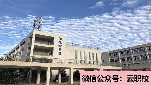 2021年四川華迪信息技術(shù)有限公司(四川托普計(jì)算機(jī)職業(yè)學(xué)校)圖3