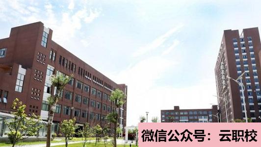 在衛(wèi)校里面學習什么專業(yè)好(重慶沙坪壩區(qū)2021年男生上衛(wèi)校學什么好)