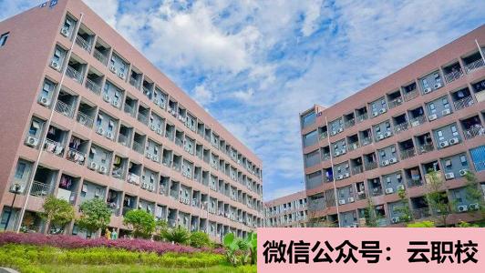 2021年四川省米易中學師資在校教職員工239人(四川省米易中學網(wǎng)站網(wǎng)址)圖3