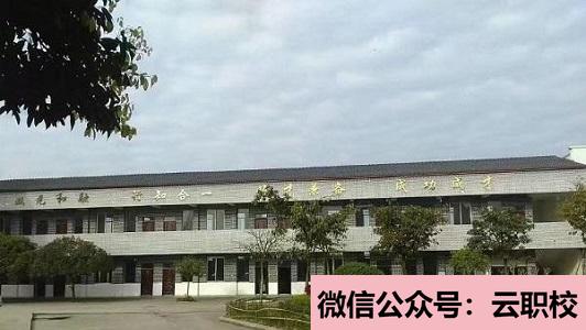 重慶沙坪壩區(qū)學校報名條件(重慶沙坪壩區(qū)2021年200分能上衛(wèi)校嗎)圖2