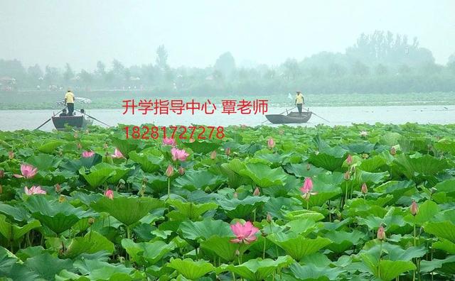 成都華夏旅游商務(wù)學(xué)校(華夏旅游商務(wù)學(xué)校官網(wǎng))