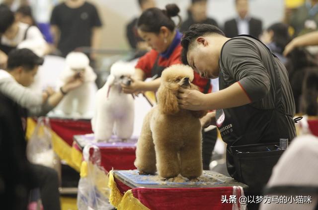 初中畢業(yè)學什么專業(yè)好女孩(初中畢業(yè)學什么專業(yè)好女孩音樂)