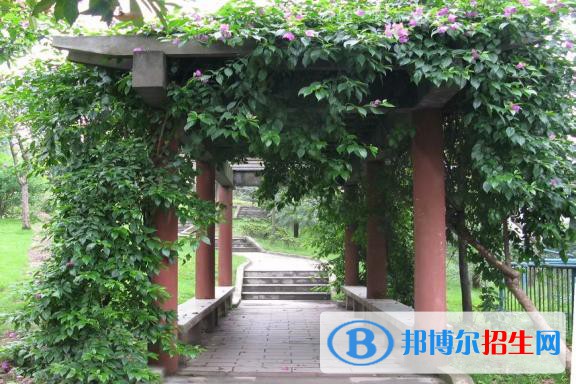 重慶幼師哪個學(xué)校最好(重慶幼師學(xué)校地點(diǎn))