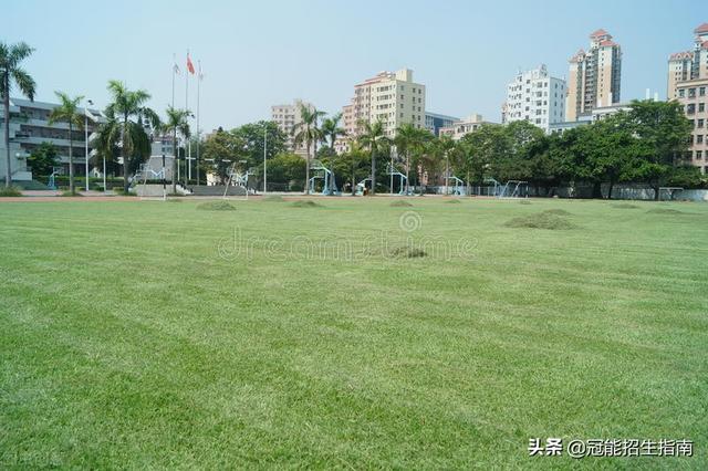 四川職業(yè)學校排名前十公辦(四川職業(yè)學校排名前十有哪些學校)