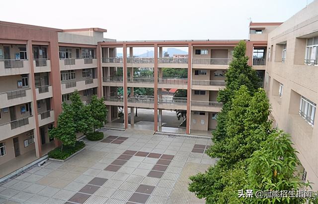 四川幼師專業(yè)學校有哪些職校(青島幼師專業(yè)學校有哪些)