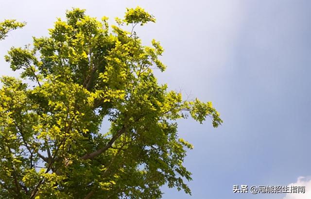 成都機電技術(shù)學校怎么樣(四川機電技術(shù)學校)