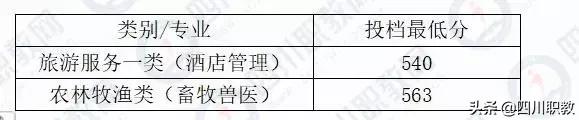 瀘州職業(yè)技術(shù)學(xué)院官網(wǎng)錄取分?jǐn)?shù)線(瀘州職業(yè)技術(shù)學(xué)院單招錄取分?jǐn)?shù)線)
